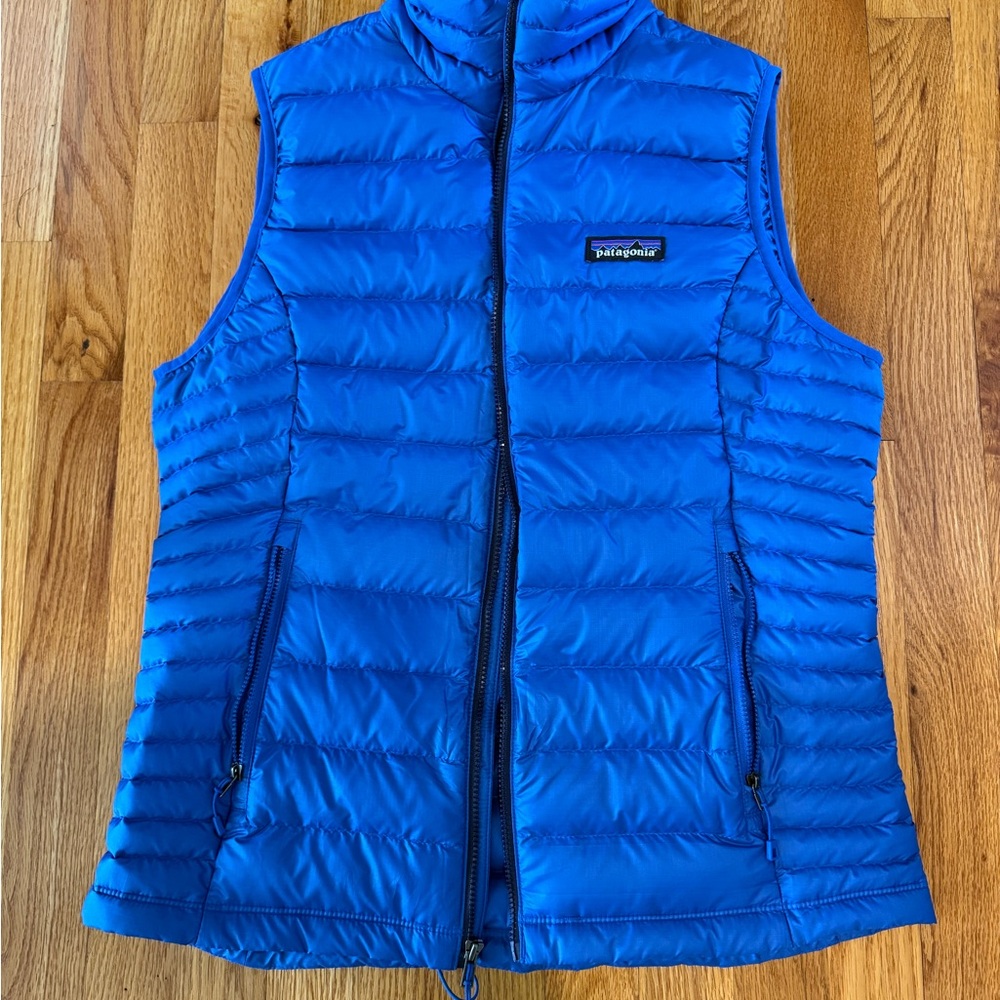 Patagonia Blue Vest